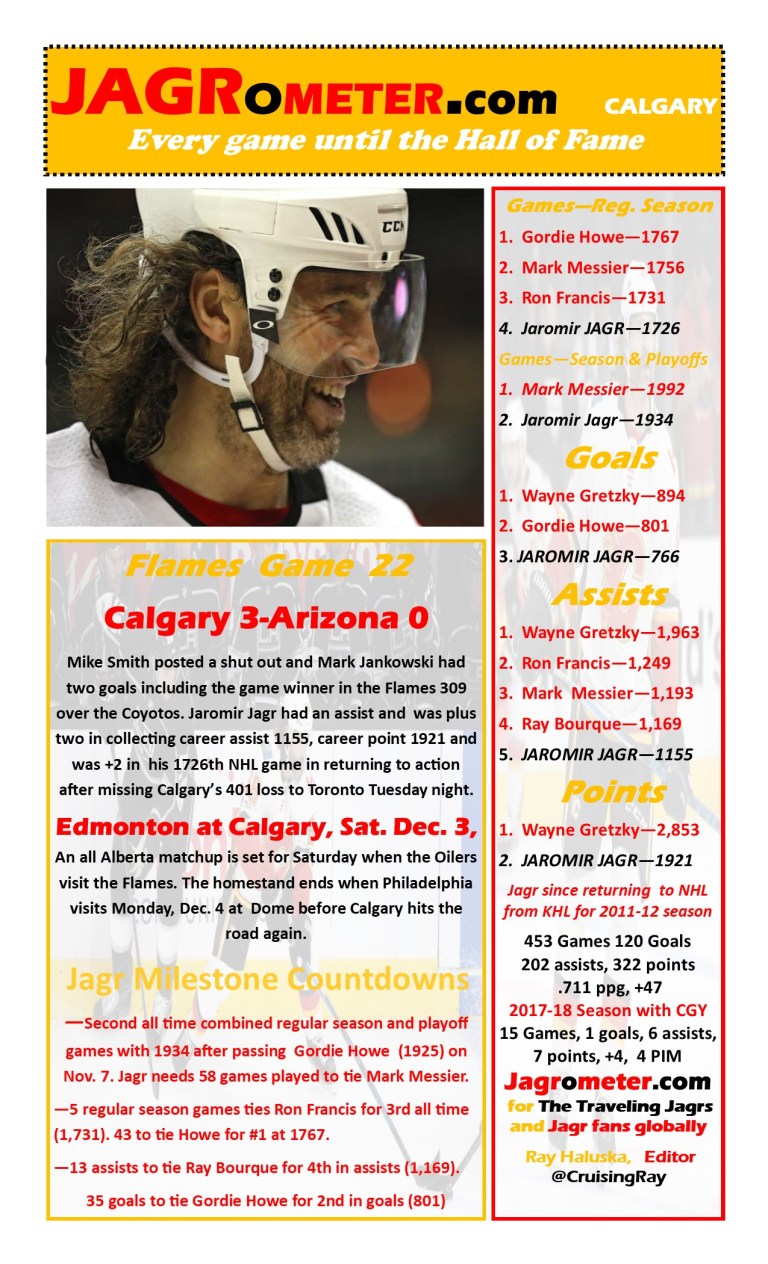 TheJAGROMETER--Game25Calgary3Arixina0
